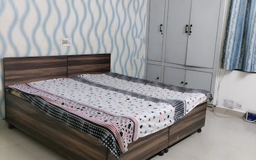 1 BHK Builder Floor For Rent in Sector 20