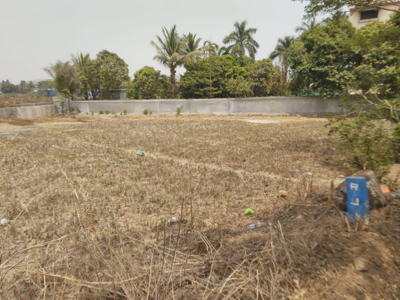 Plot For Sale in Vindhane