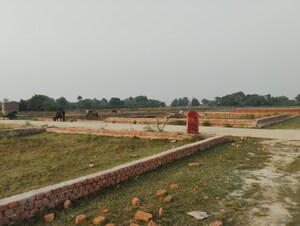 Plot Area in  Plot at Gosainganj – for Sale