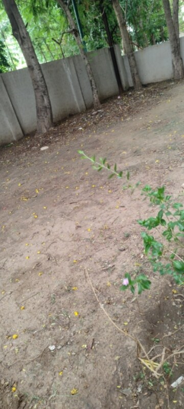  Plot For Sale in Bamroli