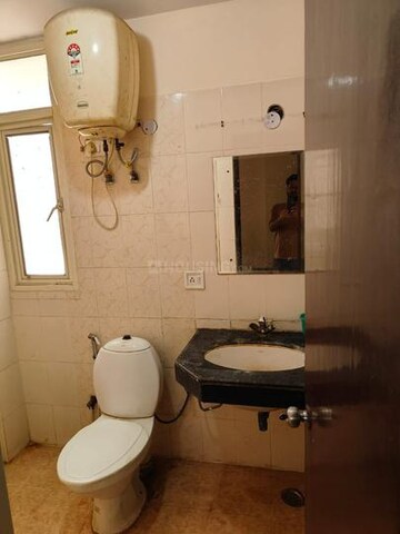 3 BHK Builder Floor For Rent in Sector 21