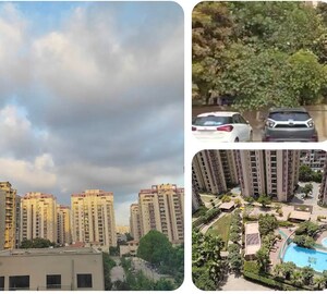 3 BHK Apartment For Sale in Orchid Petals, Sector 49