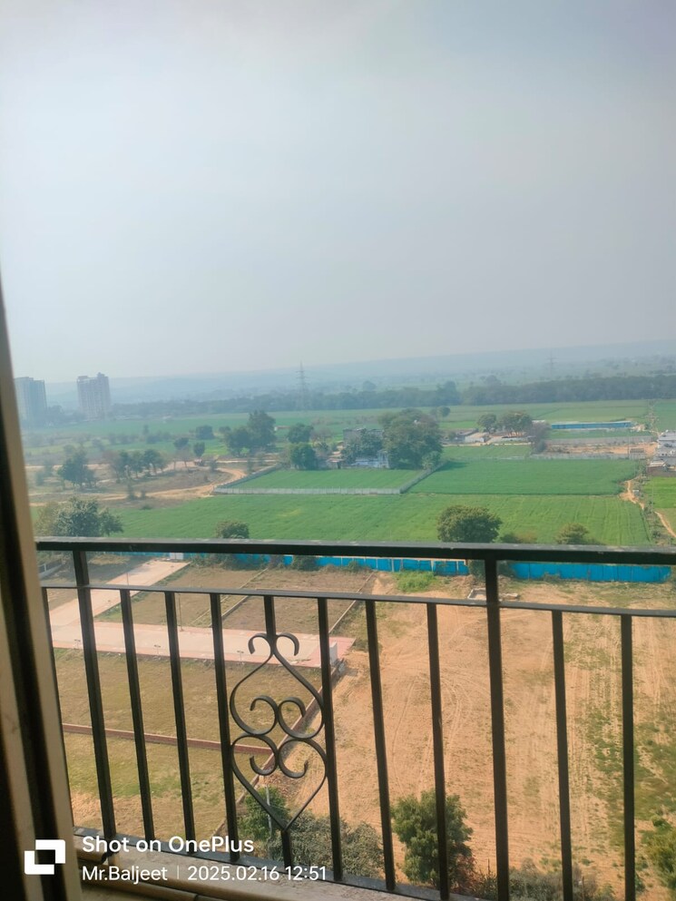 Swimming Pool, signature-the-serenas 2 Bedroom 614 Sq.Ft. Apartment In Sohna Sector 36 Gurgaon 8738004