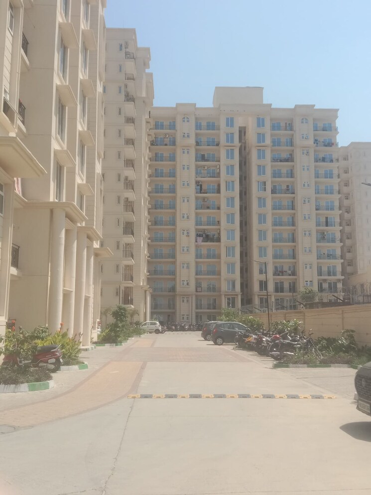 Exterior View, signature-the-serenas 2 Bedroom 583 Sq.Ft. Apartment In Sohna Sector 36 Gurgaon 8738040