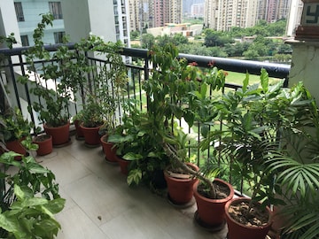 Master Bedroom in 3 BHK Apartment at Unitech The Close North, Sector 50 – for Rent