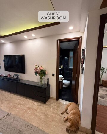 Room in 2 BHK Builder Floor at Sector 23 – for Rent