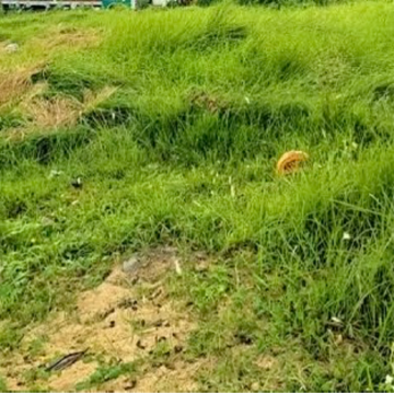 Plot Area in  Plot at New Town Action Area ii – for Sale