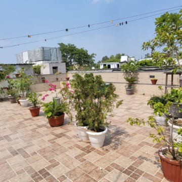 Terrace in 3 BHK Builder Floor at Panchsheel Enclave – for Rent