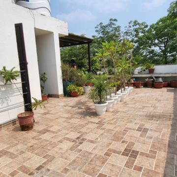 Terrace in 3 BHK Builder Floor at Panchsheel Enclave – for Rent