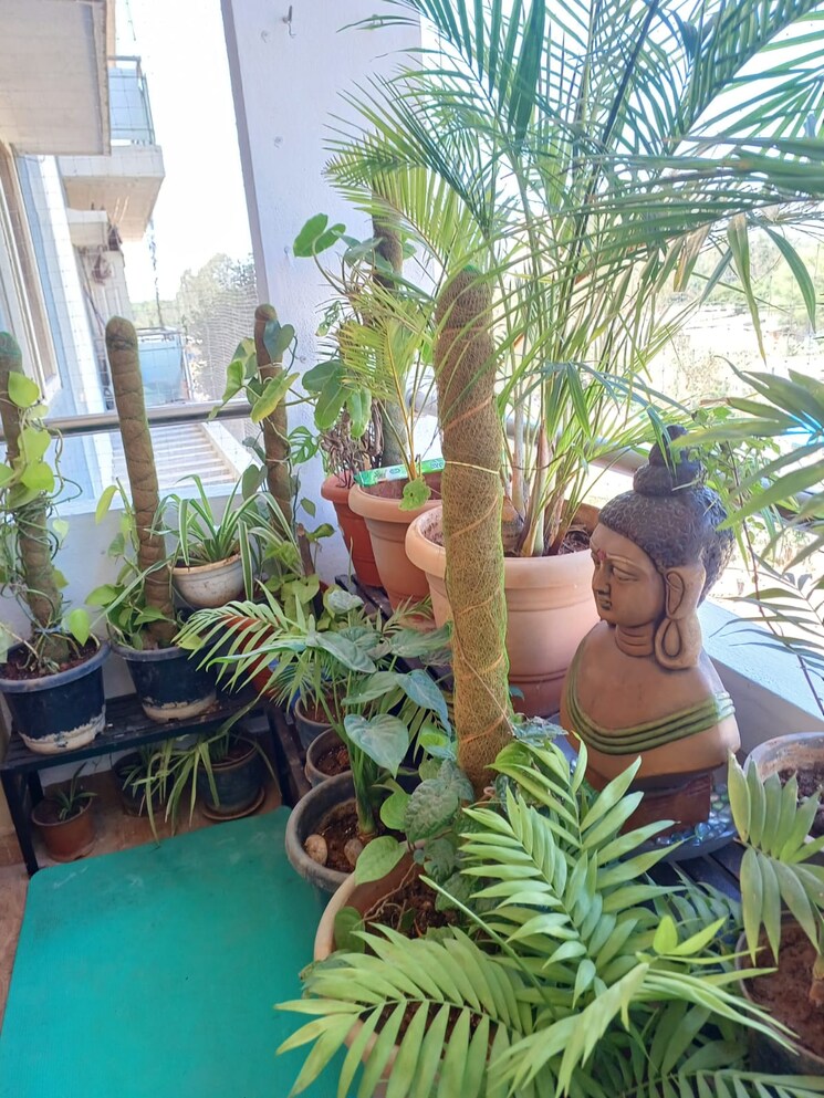 Balcony, chethana-green-park 2 Bedroom 1102 Sq.Ft. Apartment In Sarjapur Road Bangalore 8738709