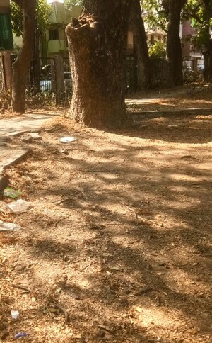  Plot For Sale in Central Ave