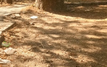 Plot For Sale in Central Ave