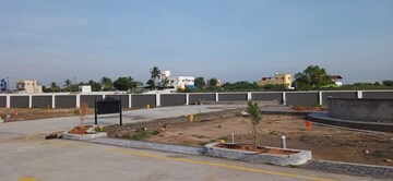 Plot Area in  Plot at Panjappur – for Sale