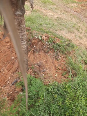 Plot Area in  Plot at Bagalur rd – for Sale