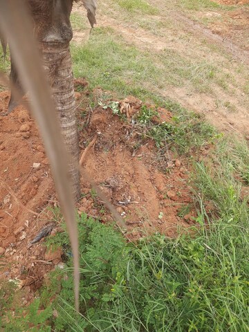 Plot Area in  Plot at Bagalur rd – for Sale