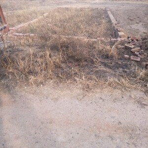  Plot For Sale in Sector 65