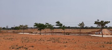 Plot Area in  Plot at Shadnagar – for Sale