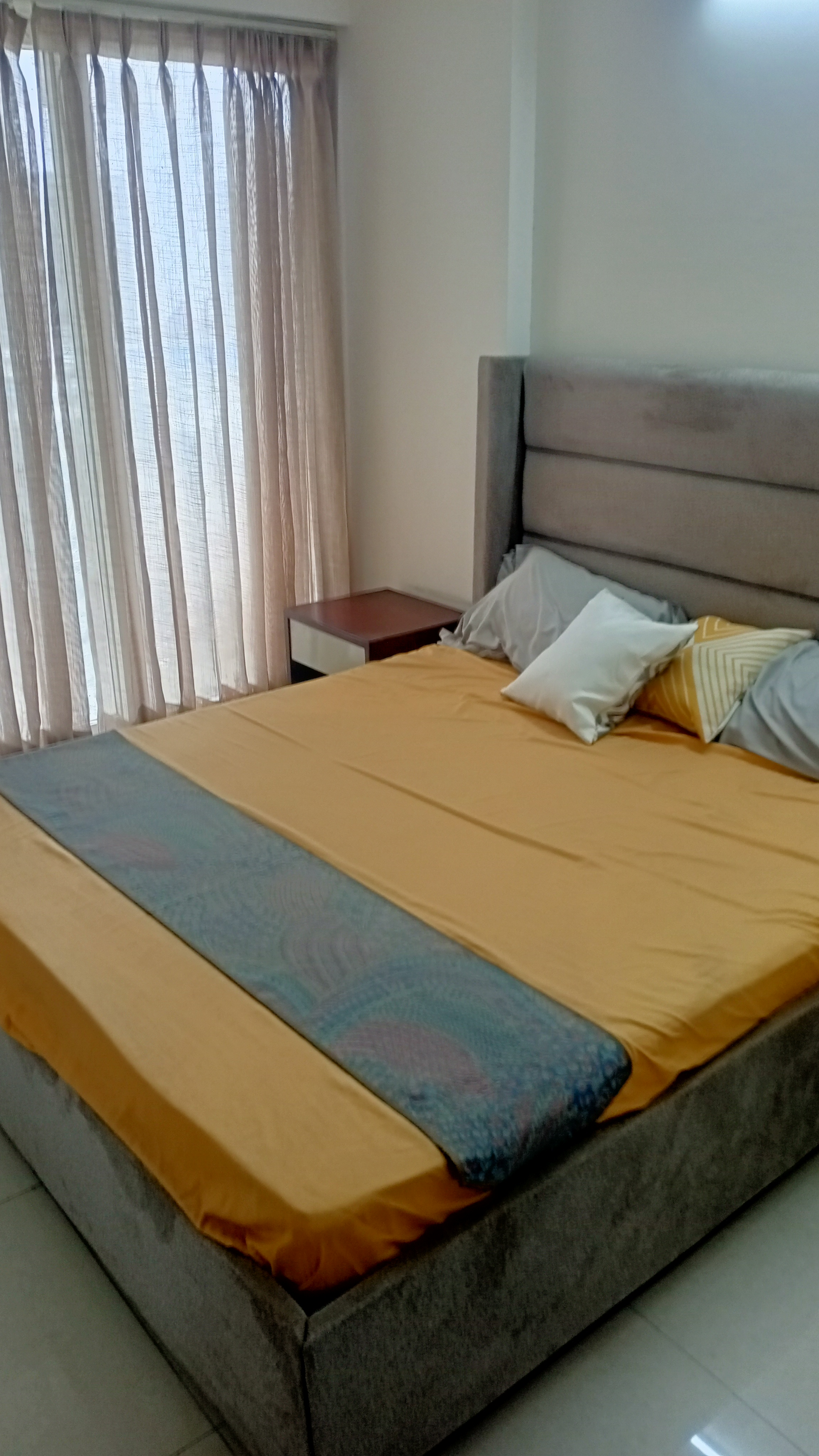 2 BHK Apartment For Sale in Pareena Micasa