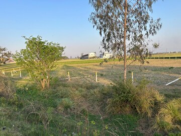 Plot Area in  Land at Shahabad Markanda – for Sale