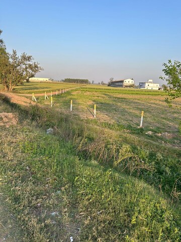 Plot Area in  Land at Shahabad Markanda – for Sale