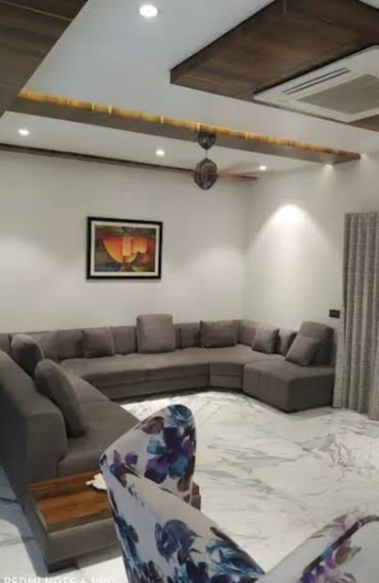 Living Room, saket 1 Bedroom 430 Sq.Ft. Builder Floor In Saket Delhi 8739348