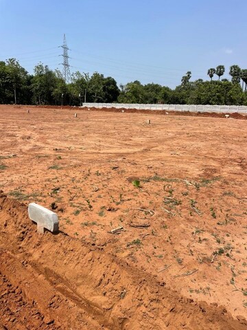 Plot Area in  Land at Kothavalasa – for Sale