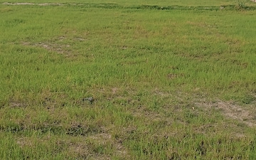 Plot For Sale in Solra
