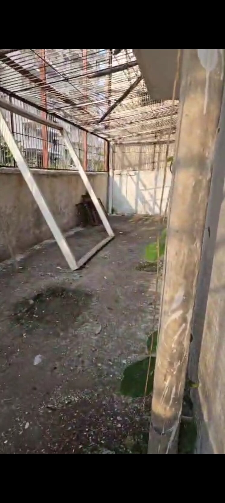 Balcony, rps-palms 5 Bedroom 3618 Sq.Ft. Apartment In Sector 88 Faridabad 8739985