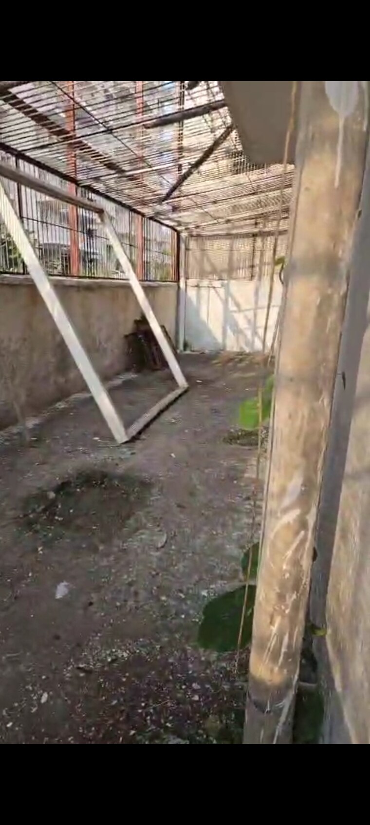 Balcony, rps-palms 5 Bedroom 3618 Sq.Ft. Apartment In Sector 88 Faridabad 8739985