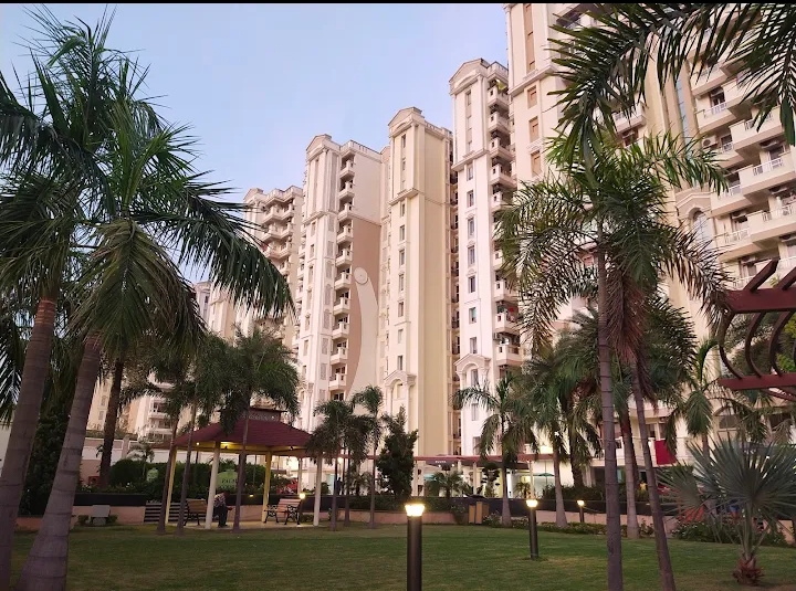 3 BHK Apartment For Rent in MI Rustle Court