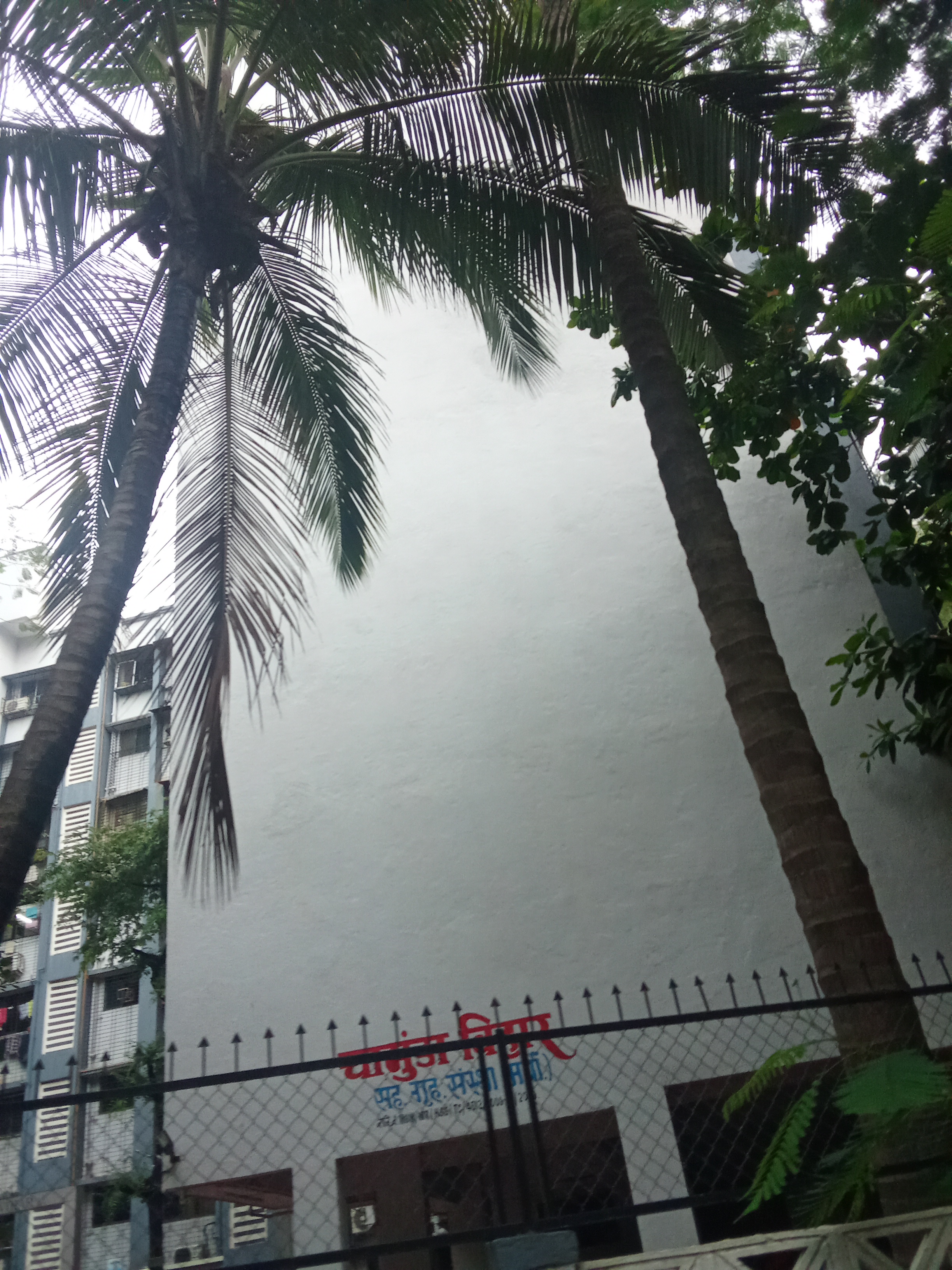 1 BHK Apartment For Rent in Chamunda Vihar CHS