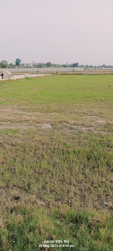 Plot Area in  Plot at Solra – for Sale