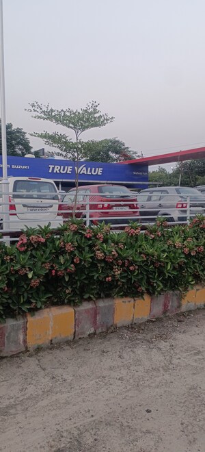  Plot – Exterior View View at Dayal Friends Colony, Amar Shaheed Path - for Sale