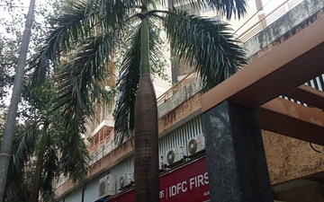 1 BHK Apartment For Rent in Saffron Chs, Borivali West