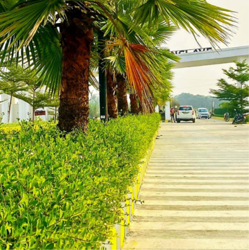  Plot – Exterior View View at Kailasha Enclave, Hasanpur Khevali - for Sale