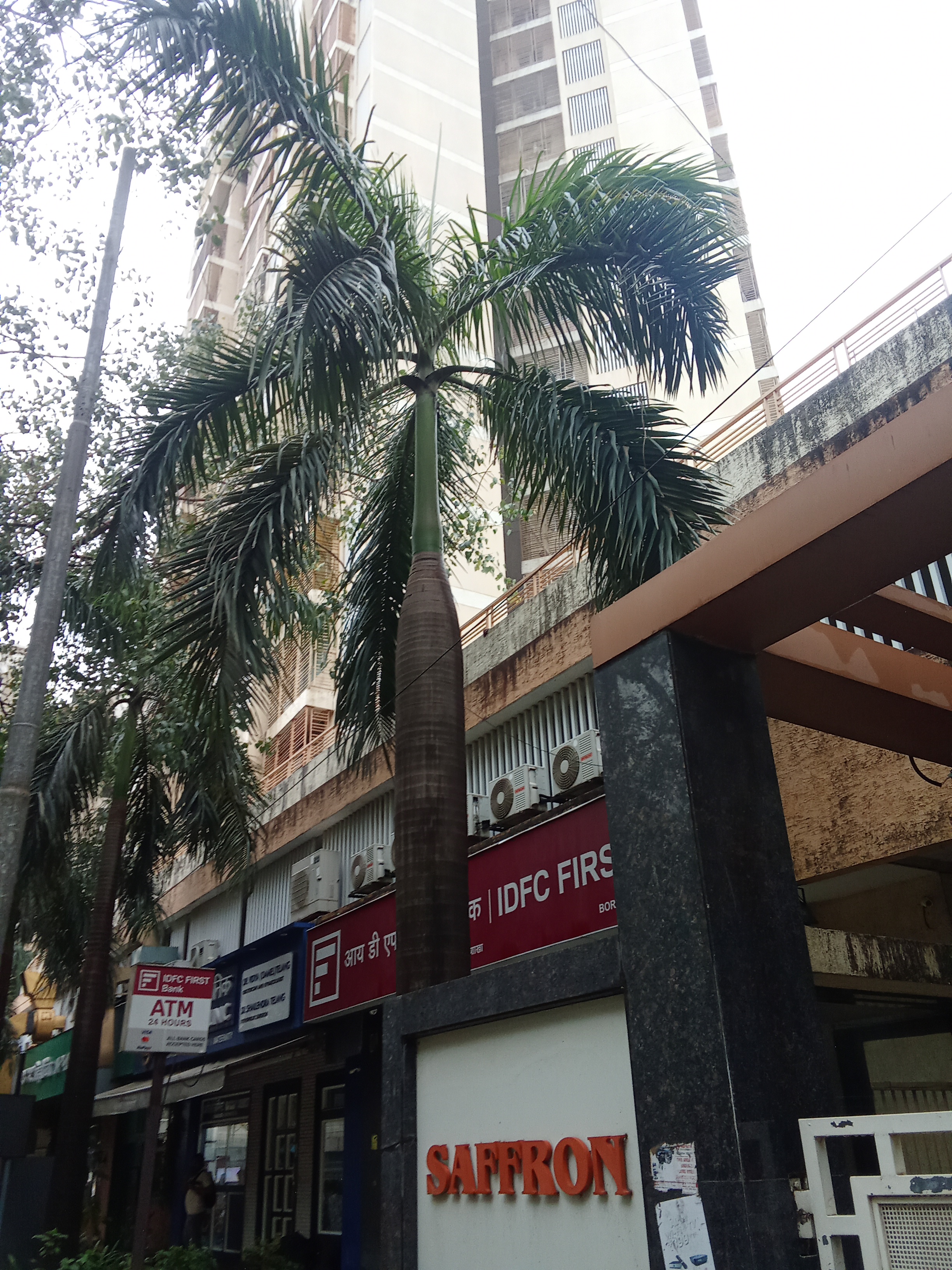 2 BHK Apartment For Rent in Saffron Chs