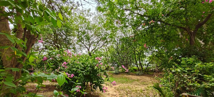 Garden, vasant vihar 3 Bedroom 2200 Sq.Ft. Apartment In Vasant Vihar Delhi 8740382