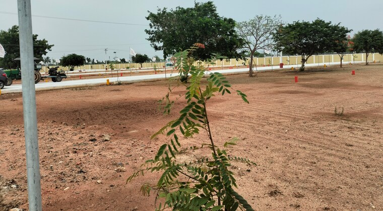 Exterior View, panjappur  1200 Sq.Ft. Plot In Panjappur Trichy 8740383