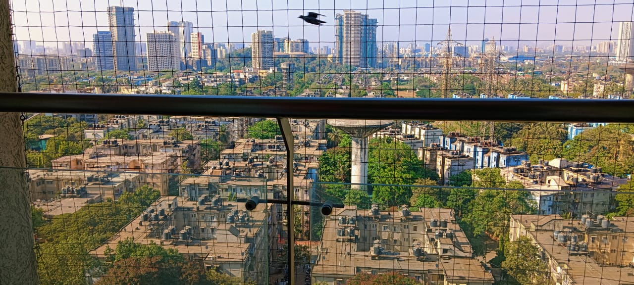 3 BHK + Servant Room 900 Sq.Ft. Apartment in Dosti Group Acres