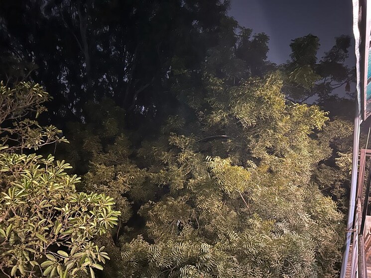 Exterior View, green park extension 2 Bedroom 1650 Sq.Ft. Apartment In Green Park Extension Delhi 8740457