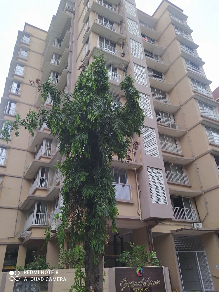 1 BHK Apartment For Rent in Ruturaj CHS