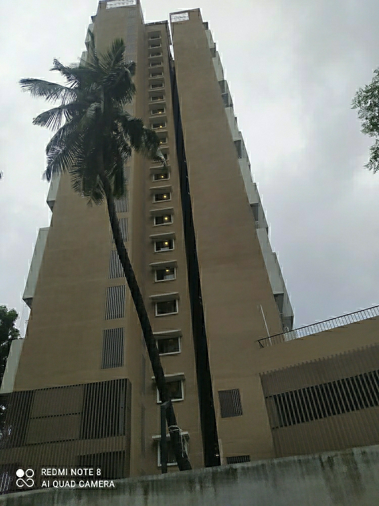 1 BHK Apartment For Rent in Kolte Patil Vaayu