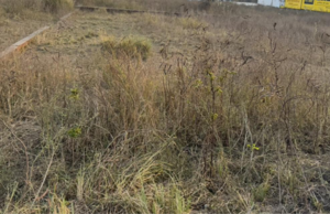  Plot For Sale in Sector 62