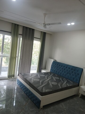Living Room in 2 BHK Builder Floor at Ardee City, Sector 52 – for Rent