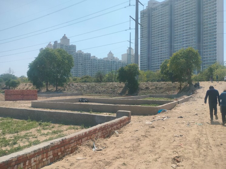 undefined, sector 142  450 Sq.Ft. Plot In Sector 142 Noida 8741152