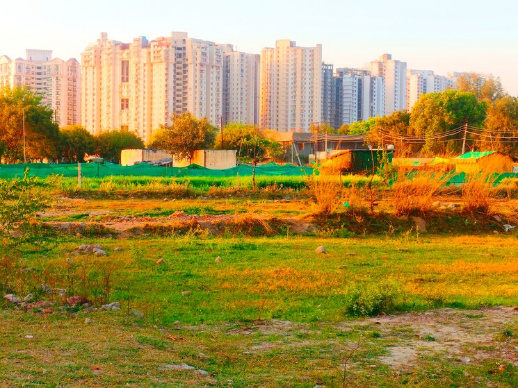 Nearby, sector 137  900 Sq.Ft. Plot In Sector 137 Noida 8741203
