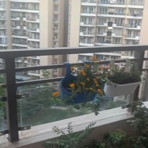 3 BHK Apartment For Sale in Tulip Violet, Palda Dhaani