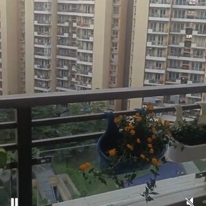 3 BHK Apartment – Exterior View View at Tulip Violet, Palda Dhaani - for Sale