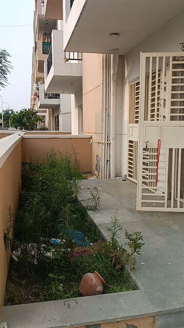 3 BHK Builder Floor – Exterior View View at Parklands, Sector 85 - for Rent