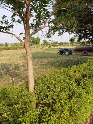  Plot – Exterior View View at Jewar - for Sale